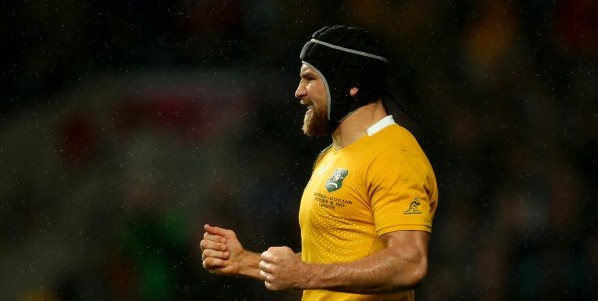 LONDON, ENGLAND - OCTOBER 18: Matt Giteau of Australia celebrates victory after the 2015 Rugby World Cup Quarter Final match between Australia and Scotland at Twickenham Stadium on October 18, 2015 in London, United Kingdom. (Photo by Dan Mullan/Getty Images)
