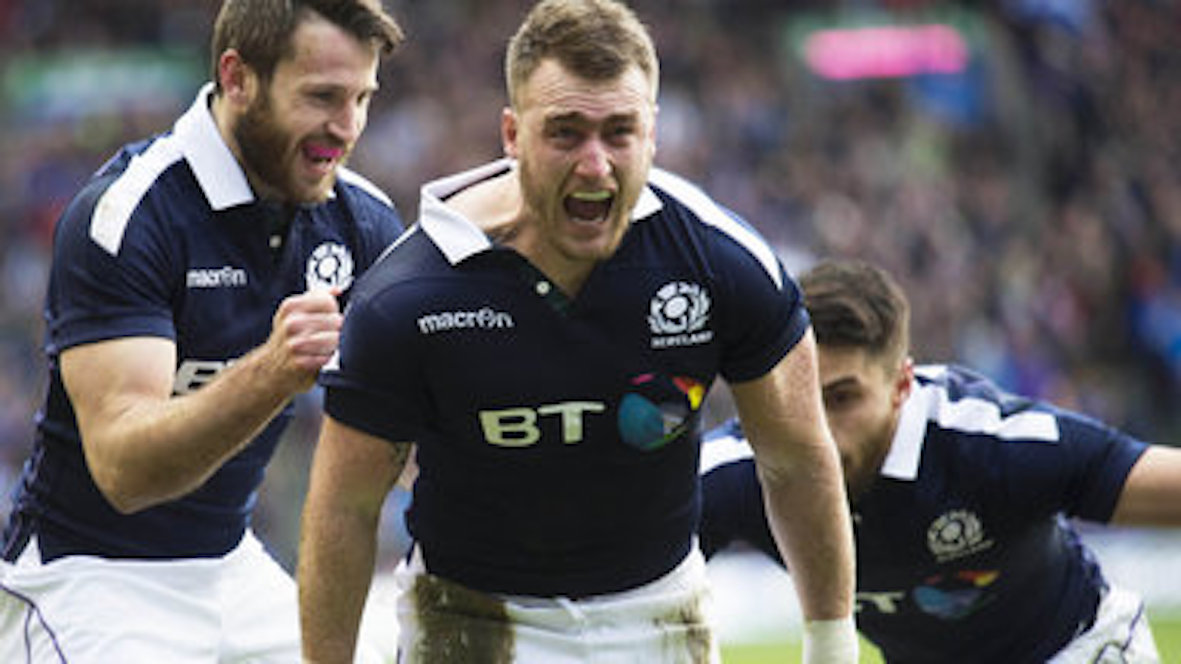 Image result for scotland rugby