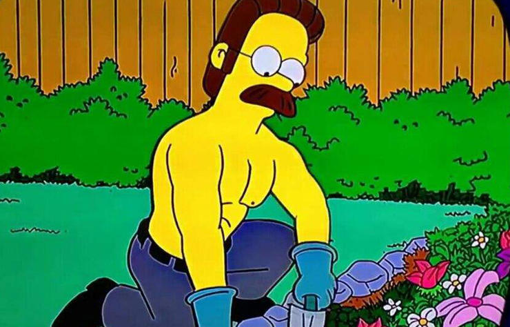 Exeter chiefs: ned flanders.