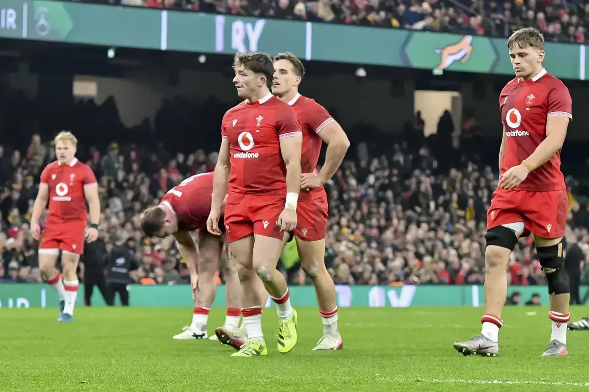 Wales player ratings vs South Africa: Autumn Internationals