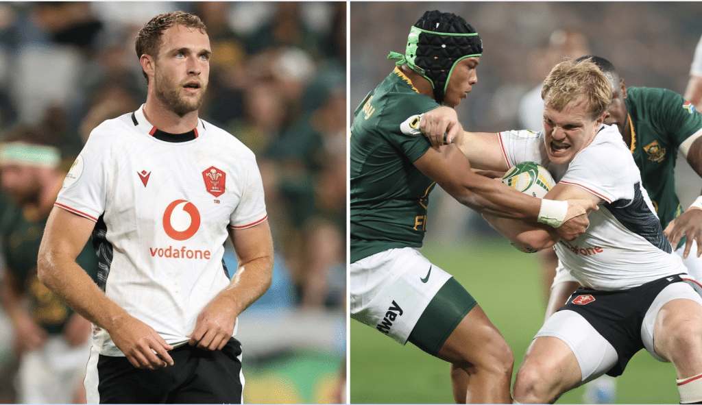 Wales player ratings vs Springboks: Nations Championships