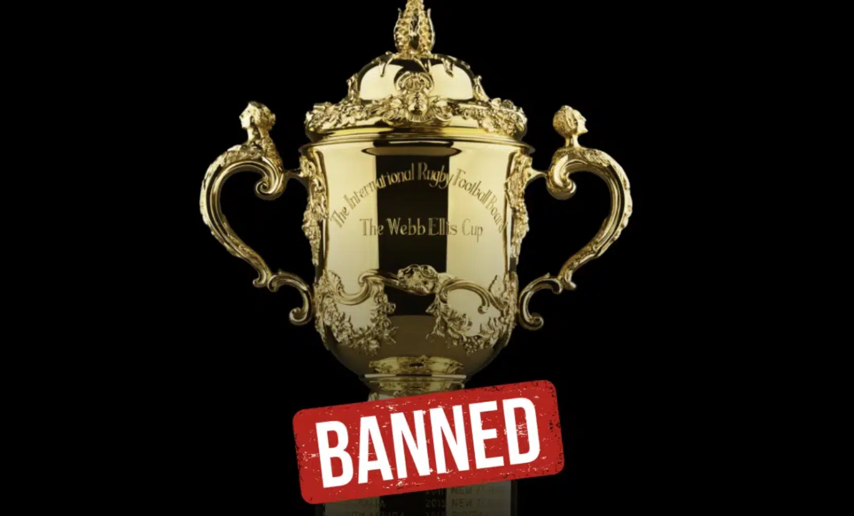 Six nations have been kicked out of the Rugby World Cup